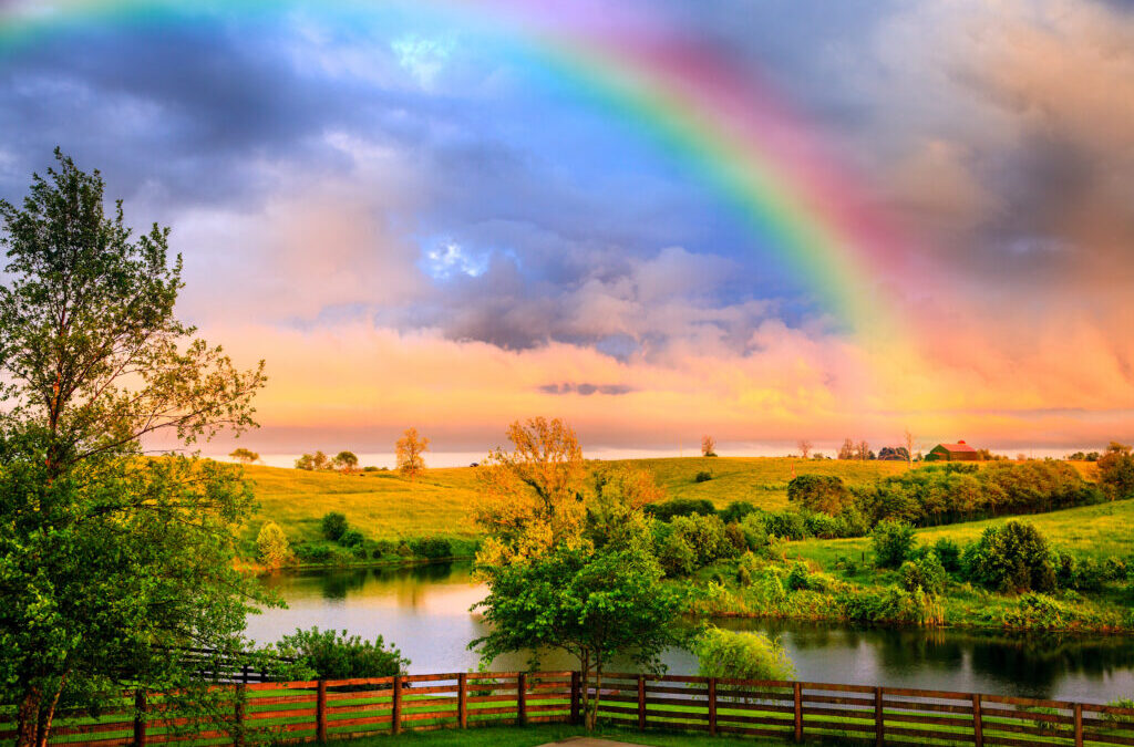 Expat Divorce & Pensions: A Guide to Securing Your Future