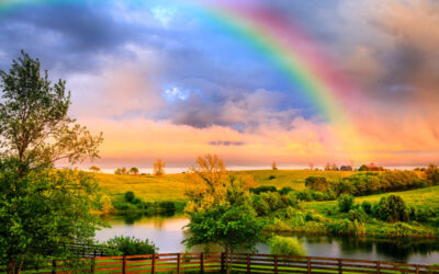 Expat Divorce & Pensions: A Guide to Securing Your Future