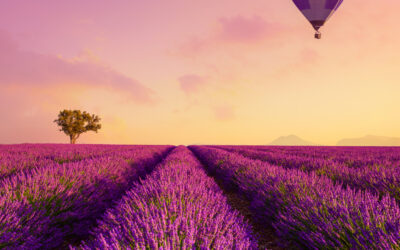 Assurance Vie – The Ultimate Expat Guide